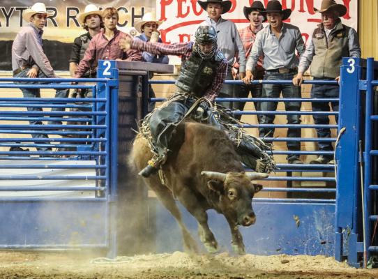Rodeo
