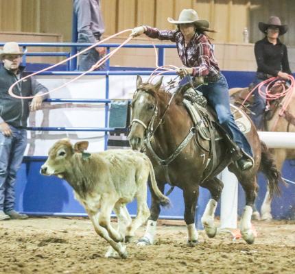 Rodeo