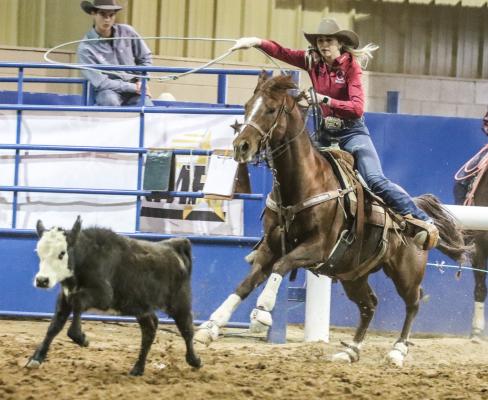 Rodeo