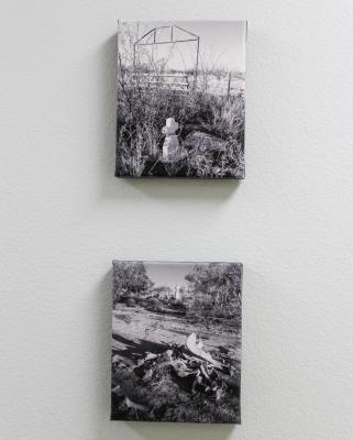Art exhibit showcases historic cemetery