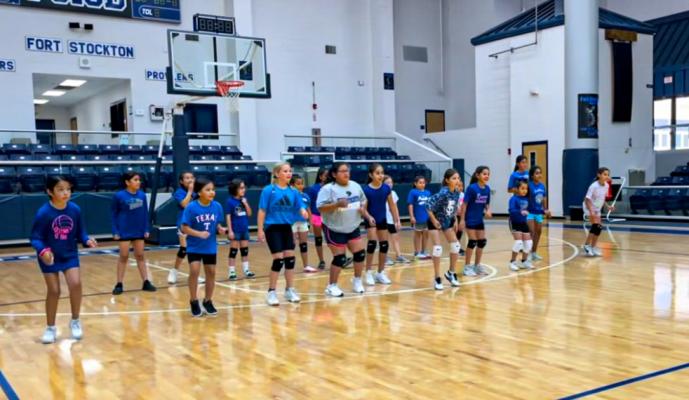 Prowler volleyball camp