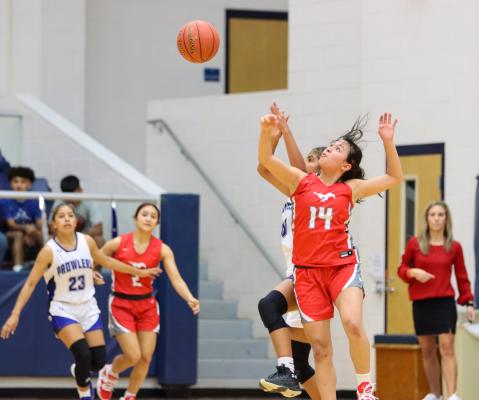 Fort Stockton varsity