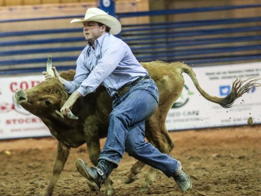 Rodeo
