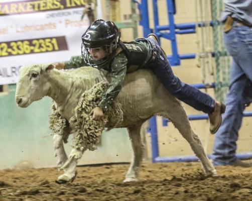 Rodeo
