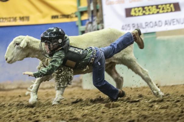 Rodeo