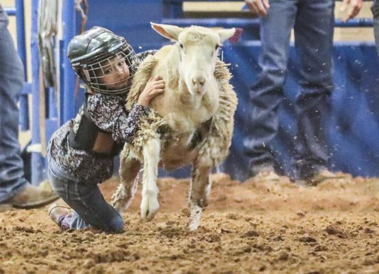 Rodeo