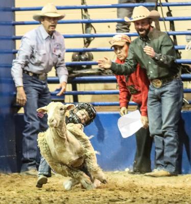 Rodeo