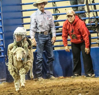 Rodeo
