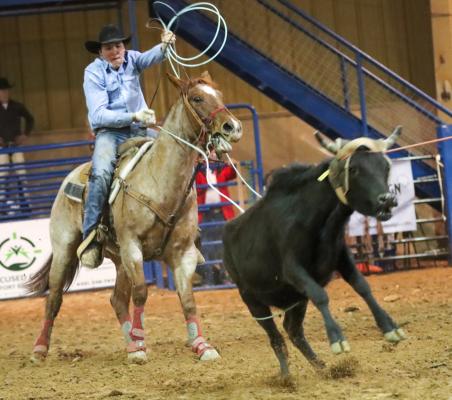 Rodeo