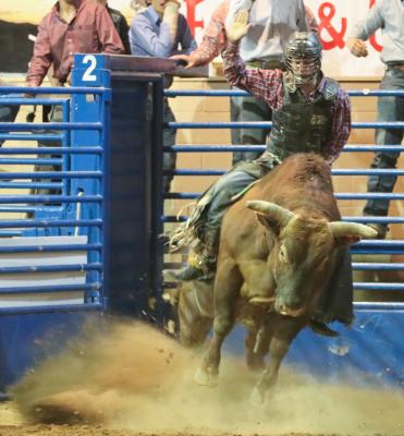 Rodeo