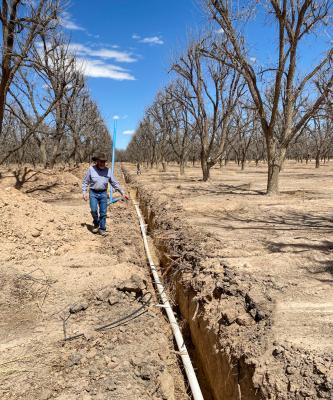 Pictured is new irrigation pipe that placed in a trench as a part of the new low-evaporation sprinklers that are being placed on 96 acres of the Belding Farms’ 2,200-acre property. Courtesy Photo