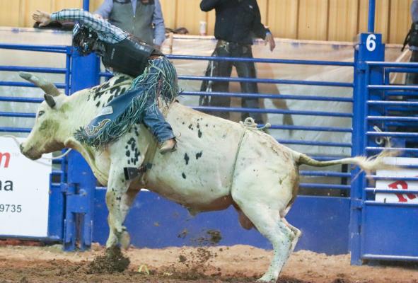 Rodeo