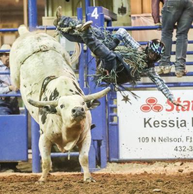 Rodeo