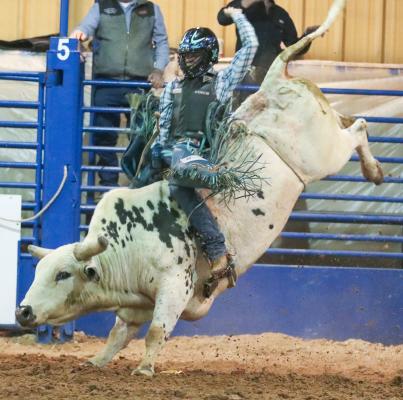 Rodeo