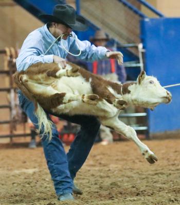 Rodeo