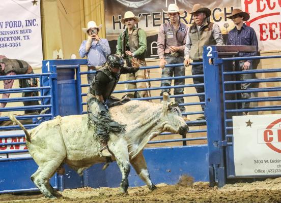 Rodeo