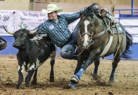 Rodeo