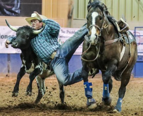 Rodeo