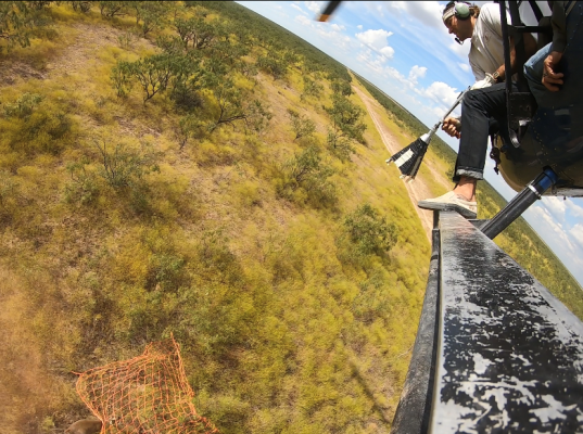 Shooting net gun for deer capture
