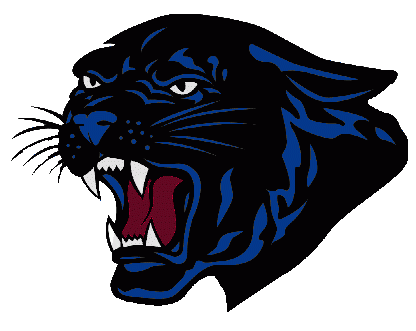 Panthers Logo