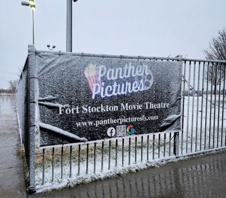 Panther Pictures