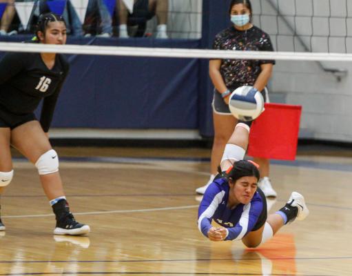 Fort Stockton defensive specialist Jennika Paz lays out for a dig during the Prowlers first set against Seminole on Tuesday. Paz had a team-high 26 digs in the match.