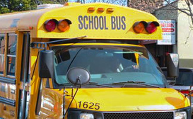bus