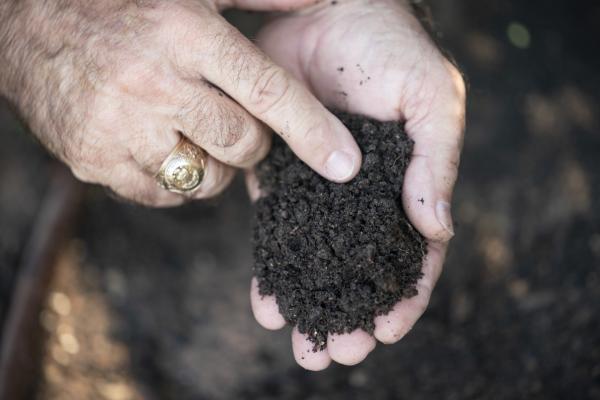 Soil