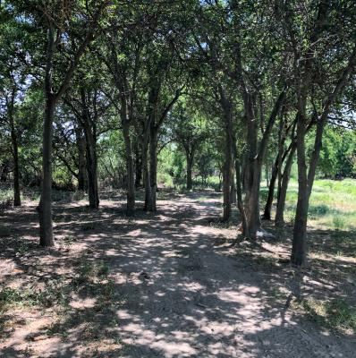 Comanche Springs Trail