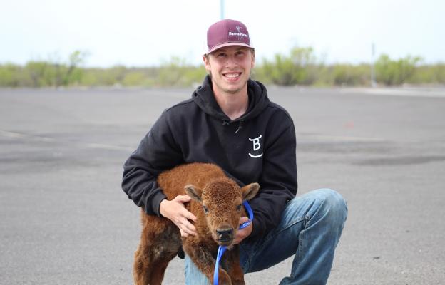 Gavin McKinnon kneels with his pet buffalo Lil Buff. Walking the young bison on a leash caused many heads to turn at the local Love’s travel stop last week.