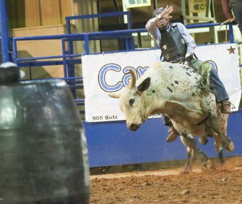 Rodeo