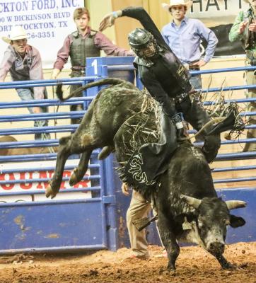 Rodeo