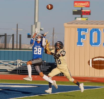 Panthers JV