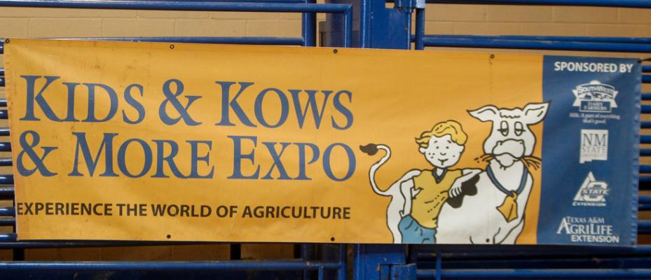 Kids, Kows & More