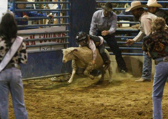 Comanche Springs Rodeo