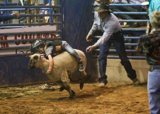 Comanche Springs Rodeo