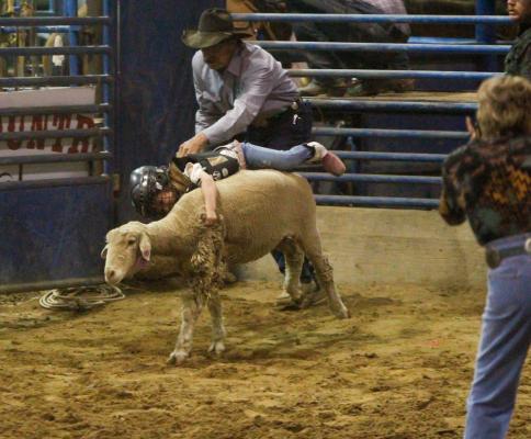 Comanche Springs Rodeo