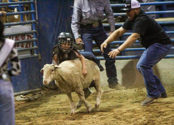 Comanche Springs Rodeo