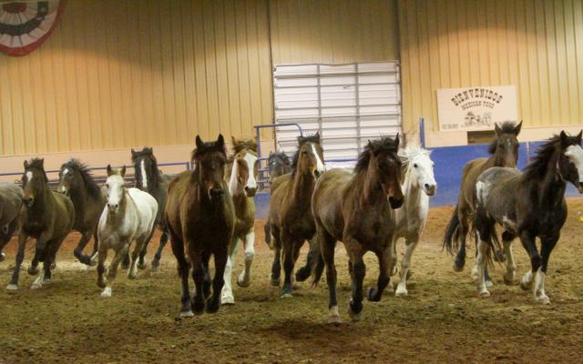 Comanche Springs Rodeo