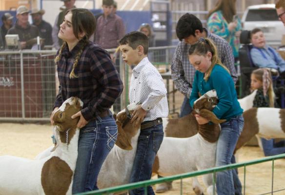 Pecos County Livestock Show