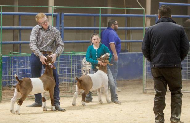 Pecos County Livestock Show