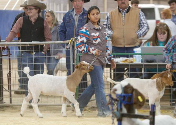 Pecos County Livestock Show