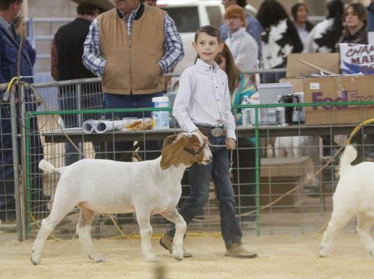 Pecos County Livestock Show