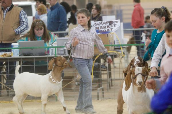 Pecos County Livestock Show