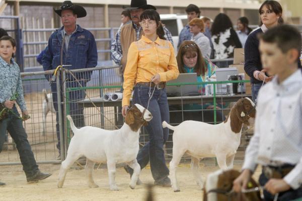 Pecos County Livestock Show