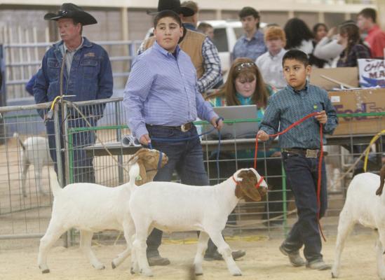 Pecos County Livestock Show