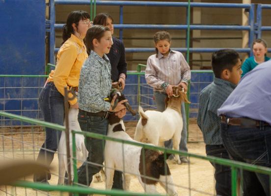 Pecos County Livestock Show