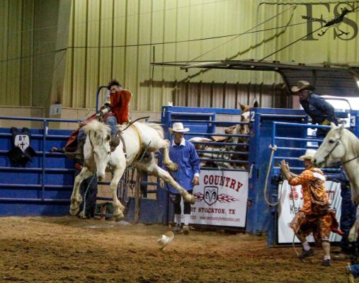 Comanche Springs Rodeo