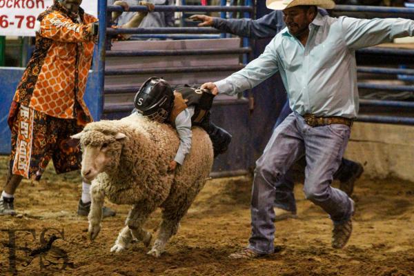 Comanche Springs Rodeo