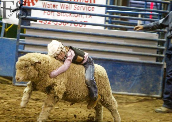 Comanche Springs Rodeo